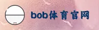 【官方】BOB半岛体育官方登录入口 - 2026新版